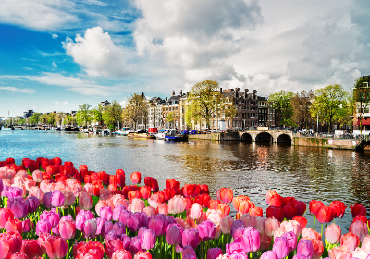 Amsterdam camping delft