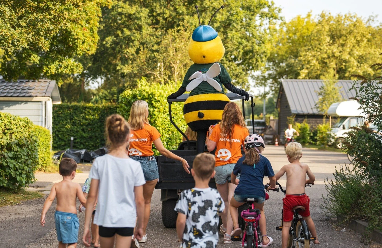 Delfste hout 240806 alyssa van heyst 24