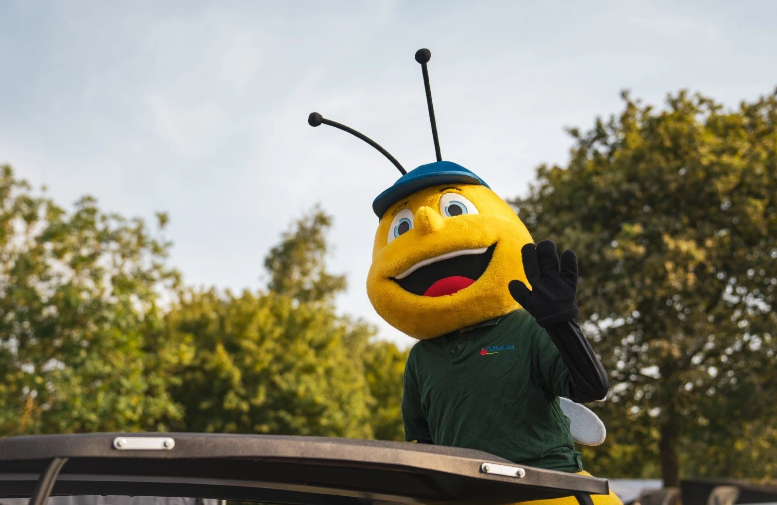 Delfste hout 240806 alyssa van heyst 28