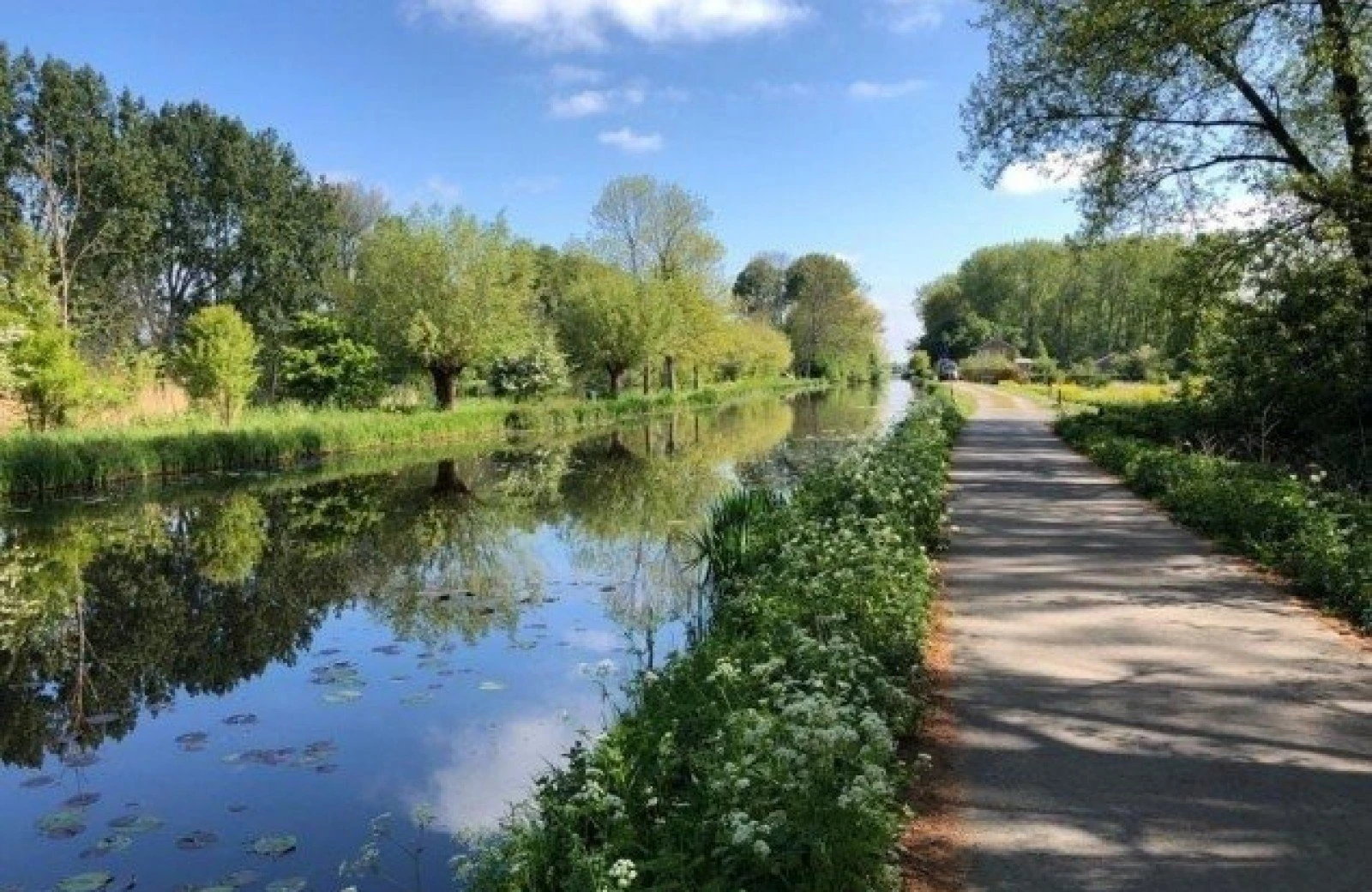 Fiets huren in delft