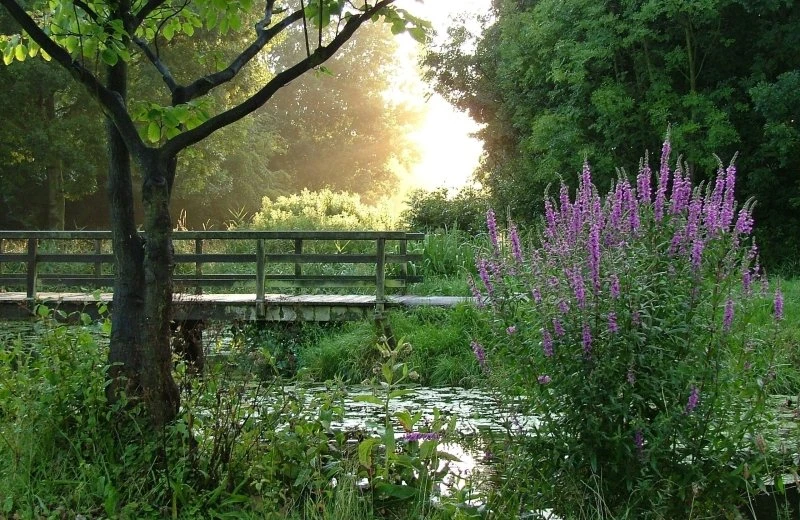 Per fiets of te voet