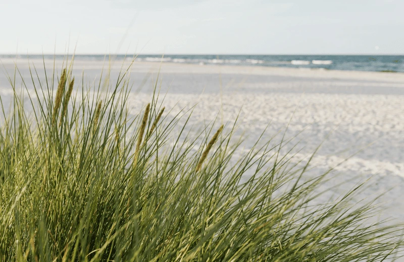 Strandopgang Karel Doornmanweg